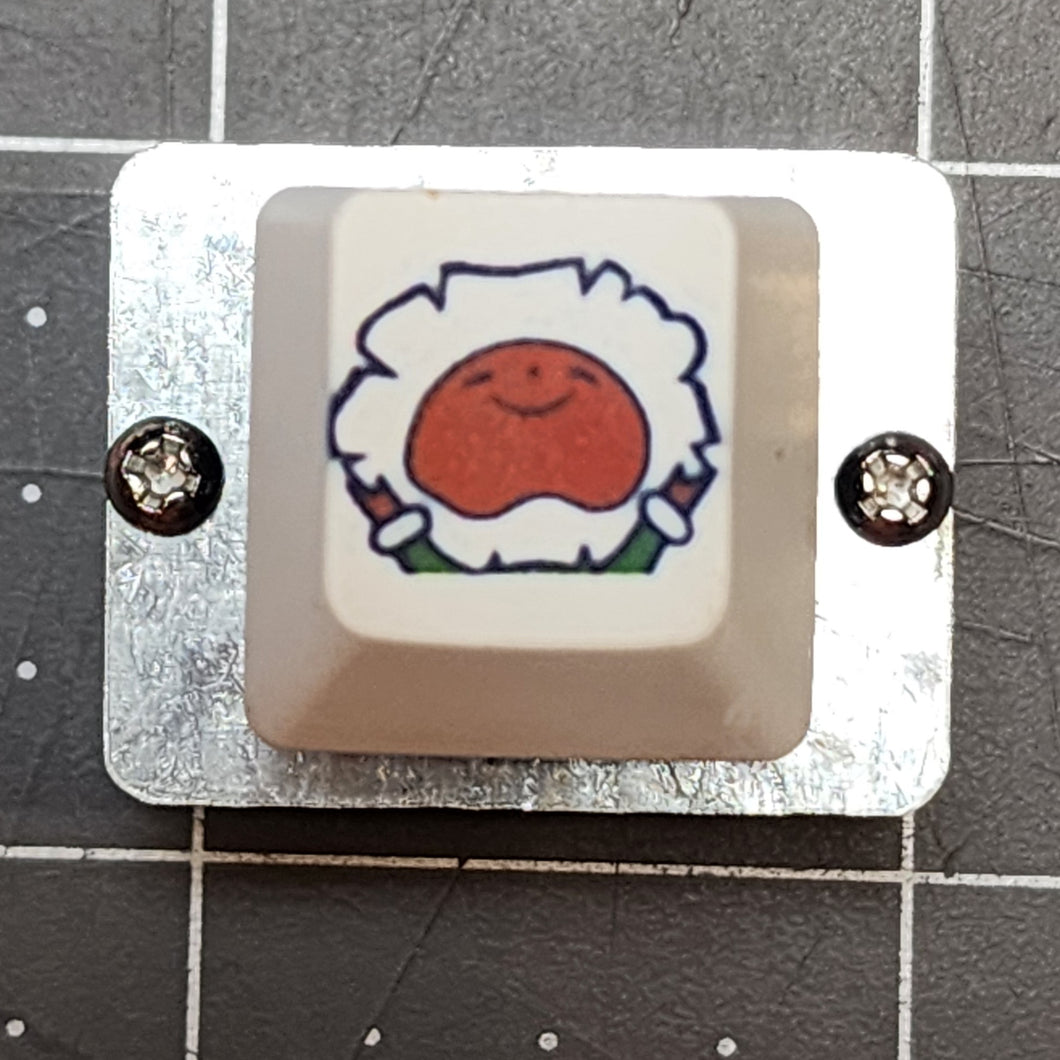 Novelty Topre Switch - Coldtop Keycap